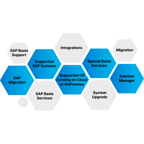 sap basis support services