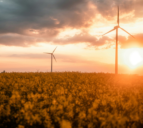 Maximizing Efficiency with SAP BASIS Consulting in the Energy, Gas, and Utility Sector