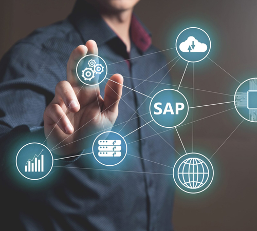 The Ultimate Guide on SAP Basis Services